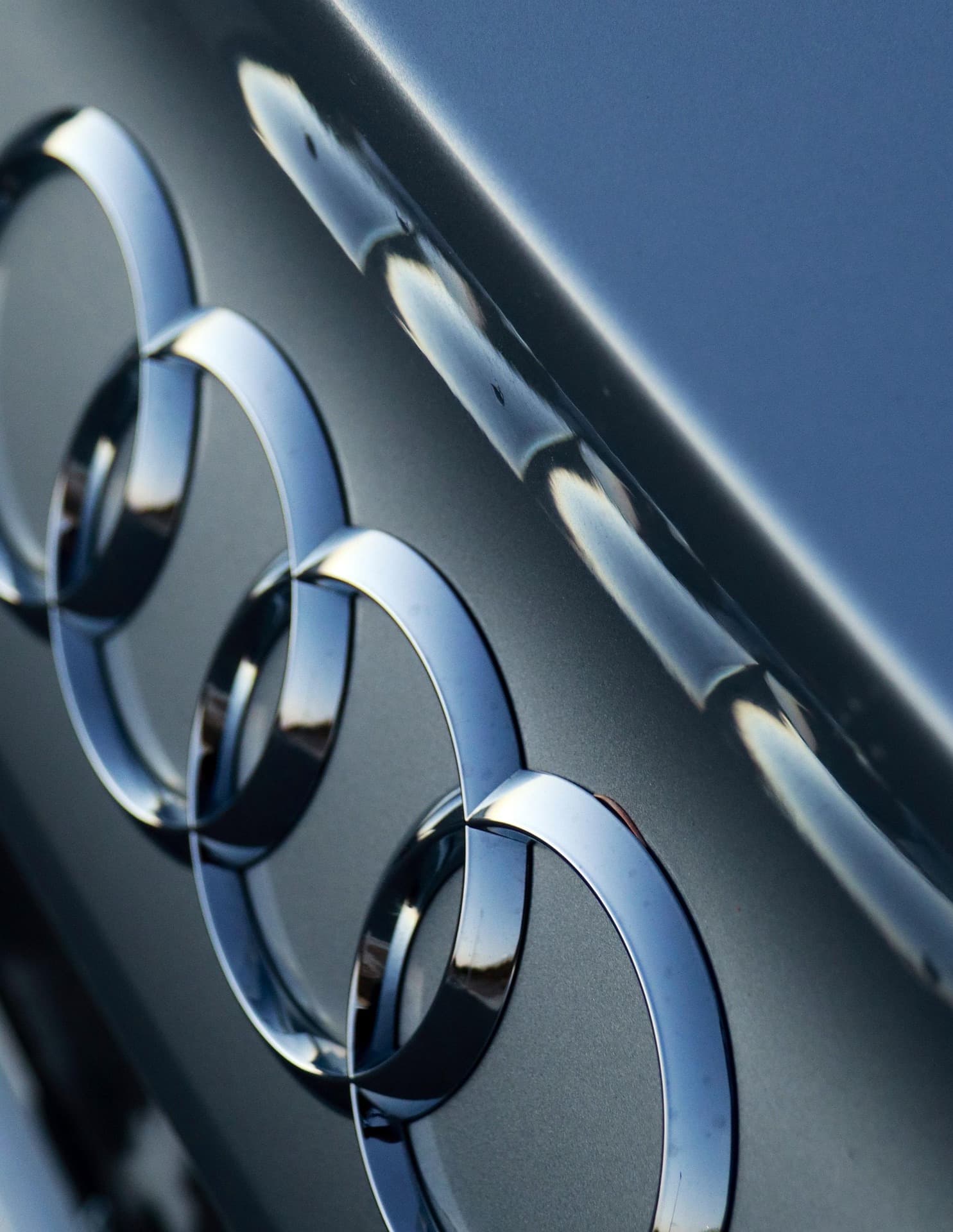 De Latijnles die Audi haar naam gaf